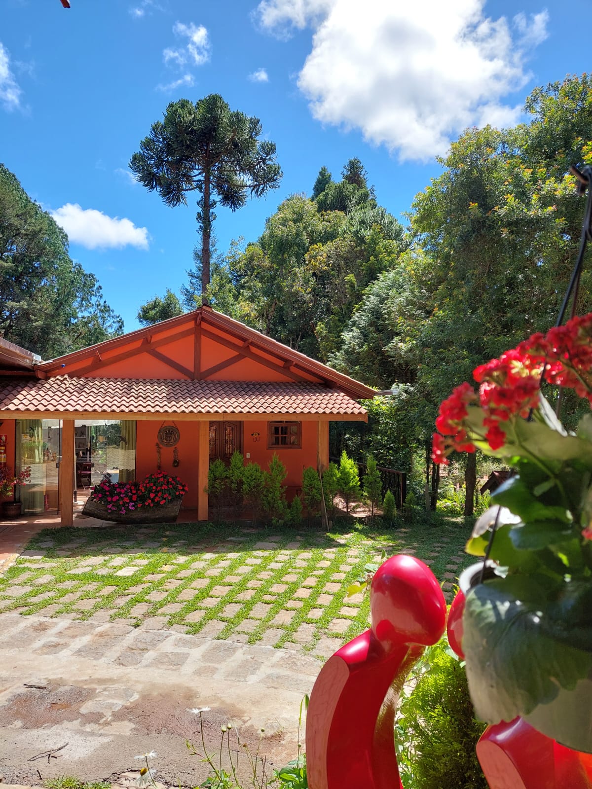 WhatsApp Image 2023-03-20 at 14.47.59 (1).jpeg